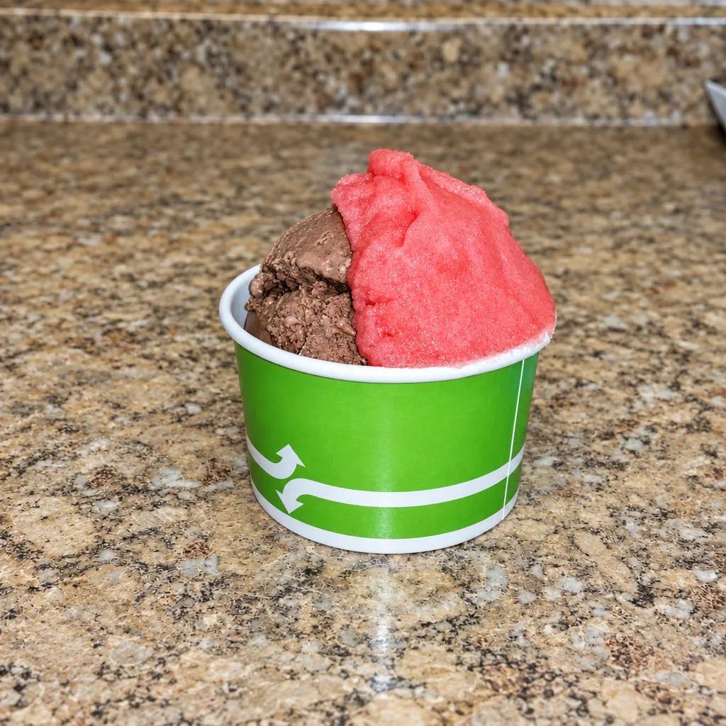 A cup with a scoop of chocolate ice cream and a scoop of red Italian ice